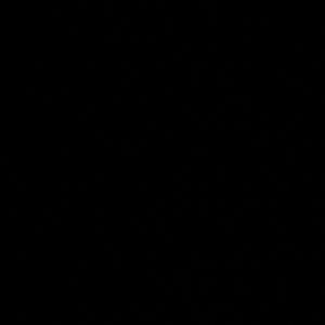 Meet your Posher, Abigail